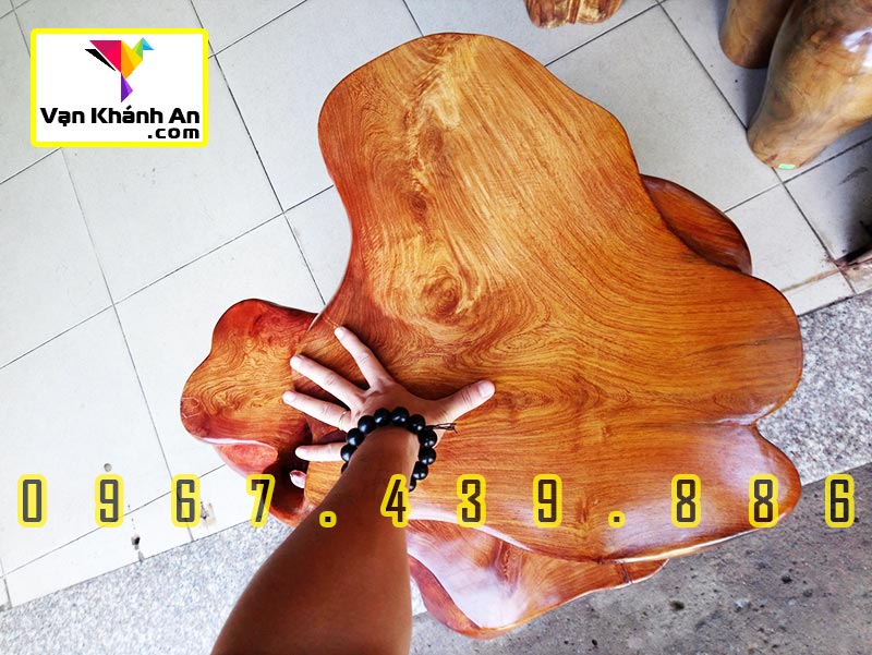 Đôn gốc cây đẹp