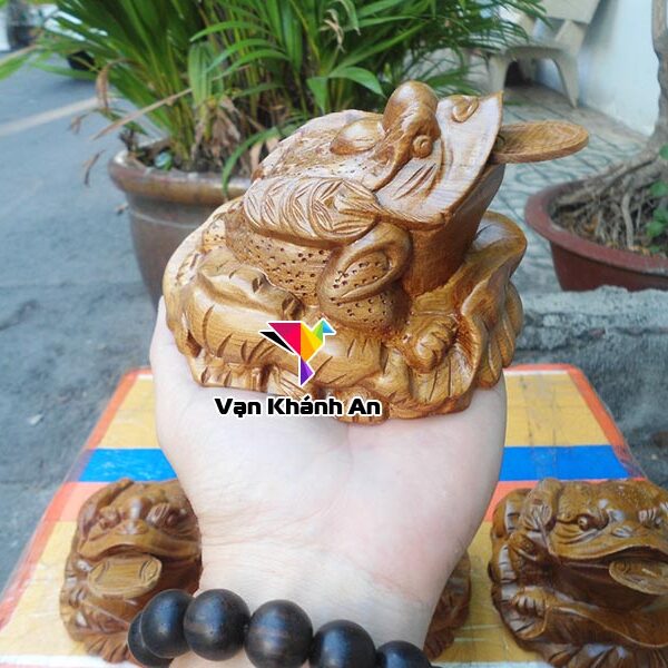 Thiềm thừ cóc ngậm tiền gỗ bách xanh