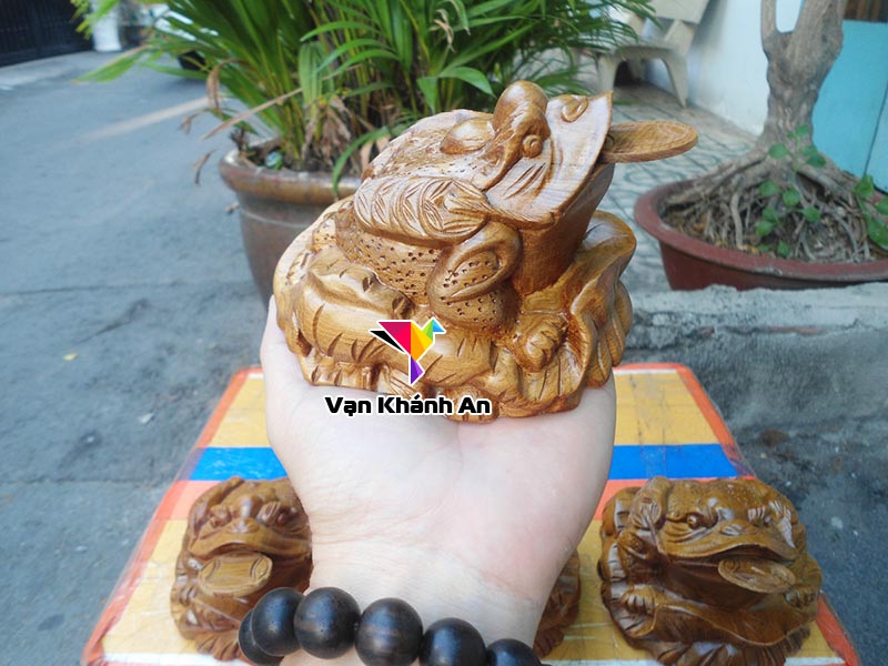 Thiềm thừ cóc ngậm tiền gỗ bách xanh