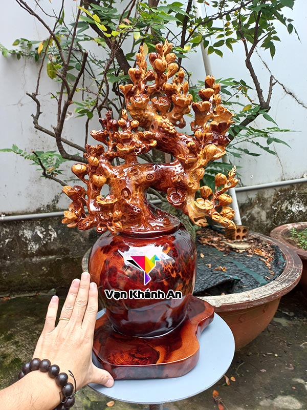 Bình mai gỗ nu hương