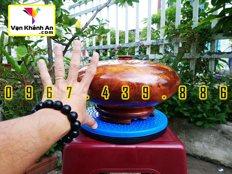 Chum phú quý hút lộc