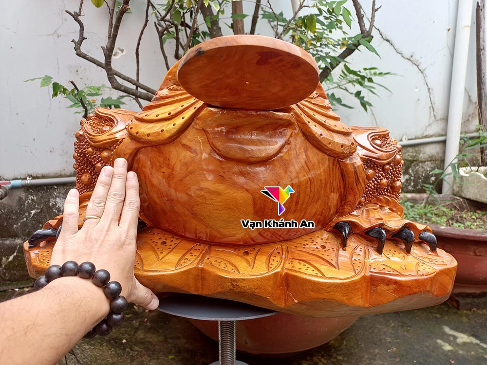 Cóc thiềm thừ gỗ