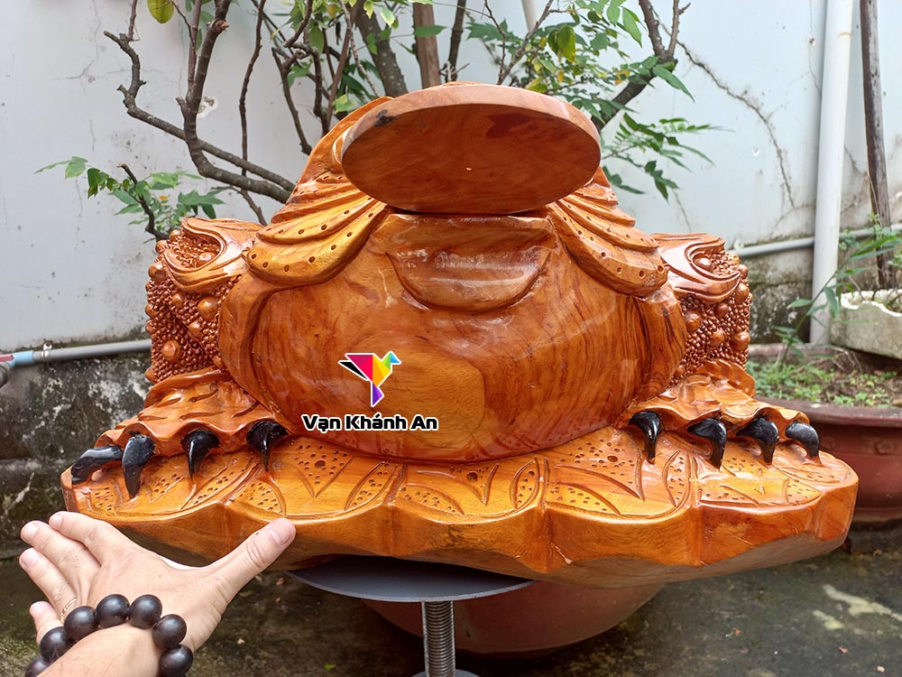 Cóc thiềm thừ gỗ