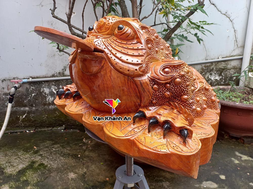 Cóc thiềm thừ gỗ