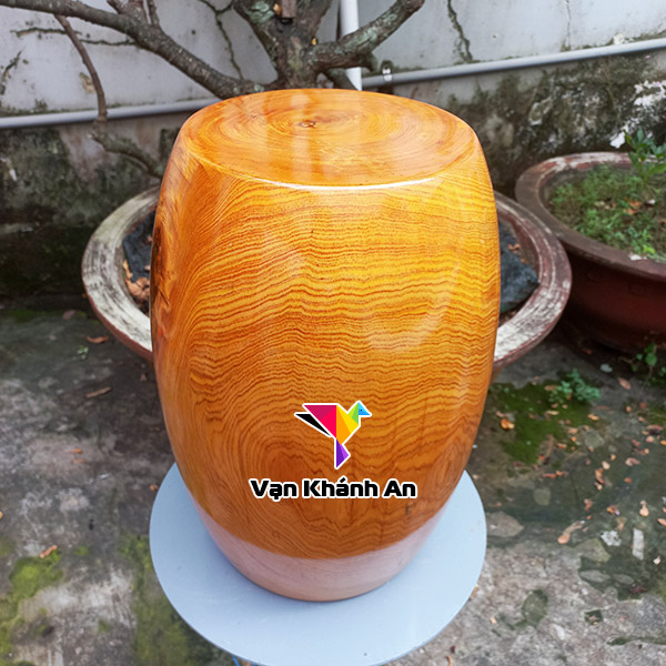Ghế đôn gốc cây kê tượng