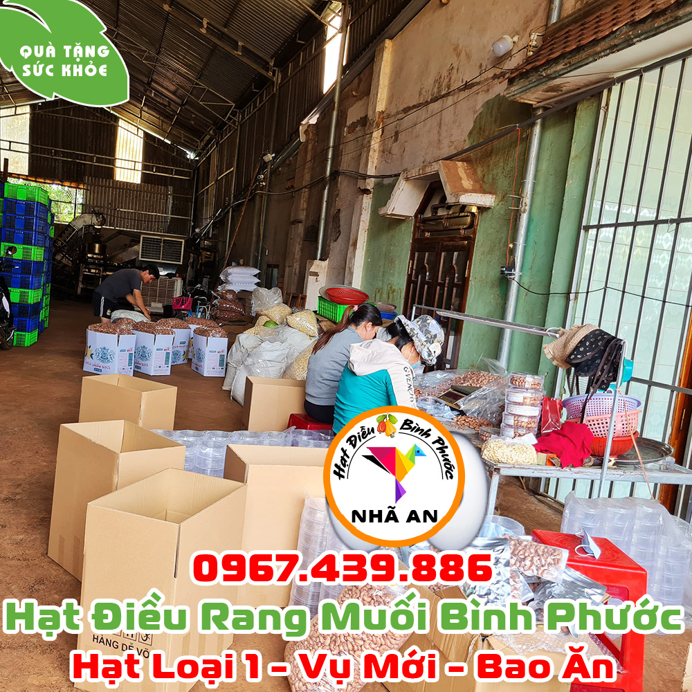 Hạt Điều Bình Phước Sỉ Lẻ