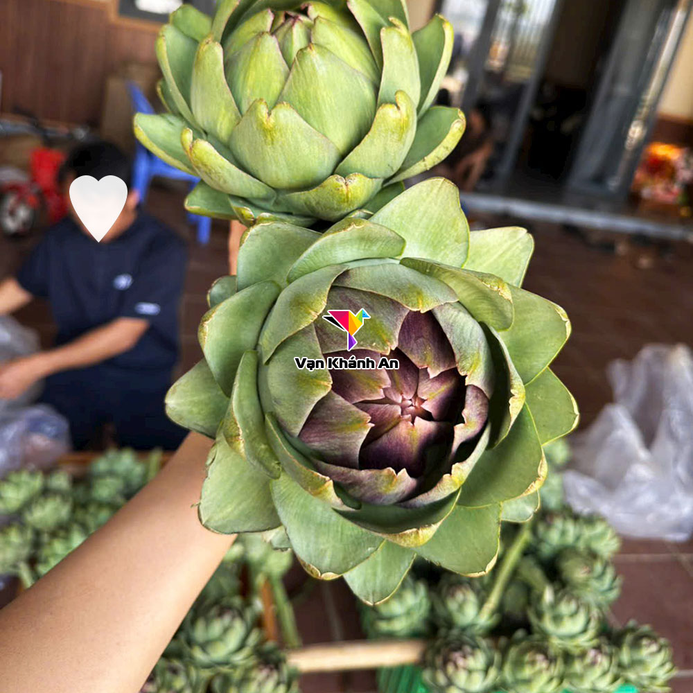 Bông Atiso Khô Đà Lạt
