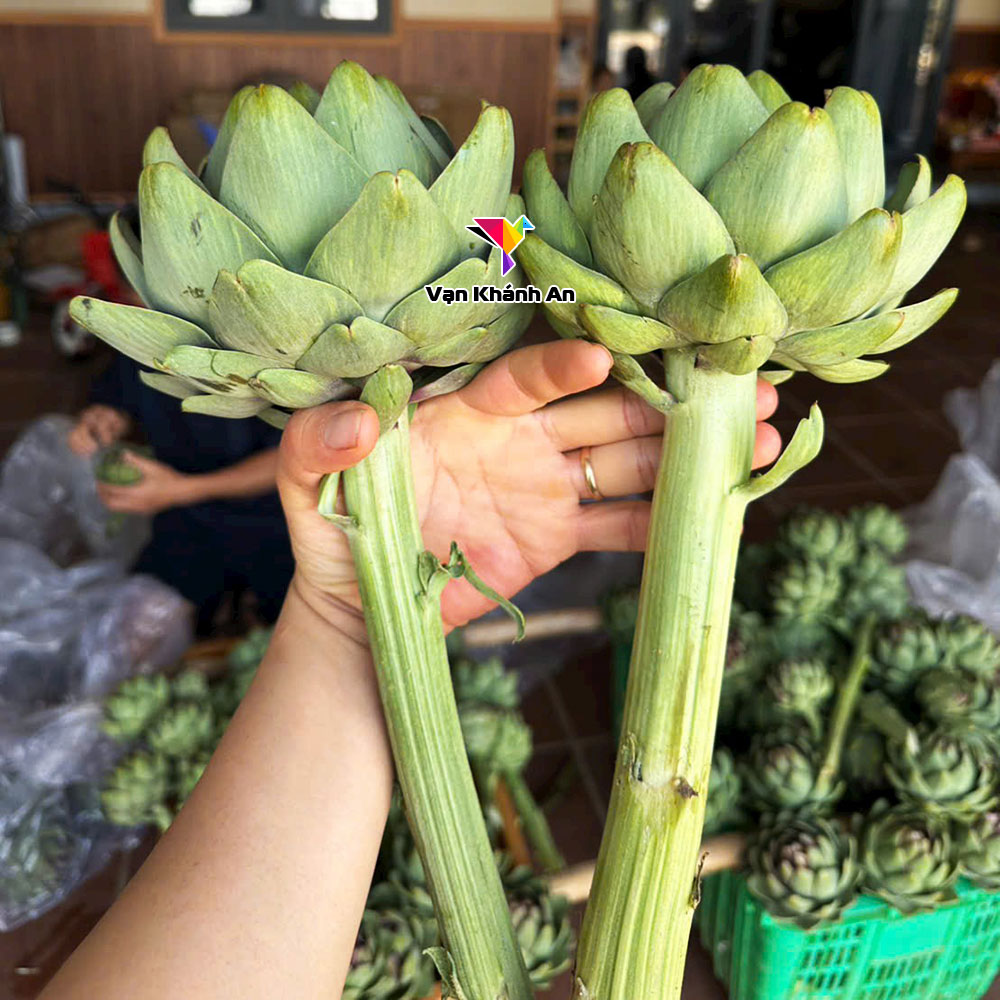 Bông Atiso Khô Loại 1