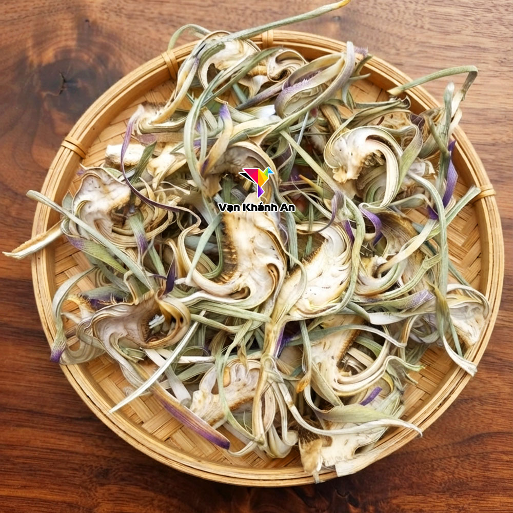 Hoa Atiso Đà Lạt