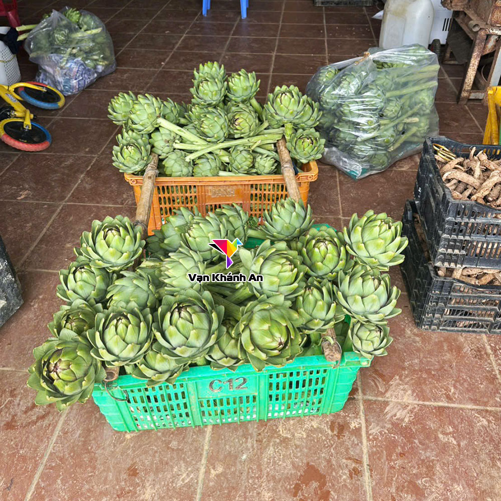 Hoa Atiso Khô Đà Lạt