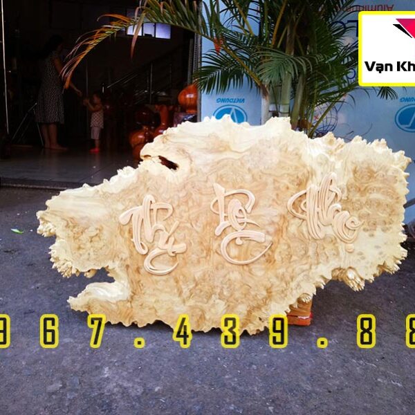 Tranh Nghệ Thuật Treo Tường