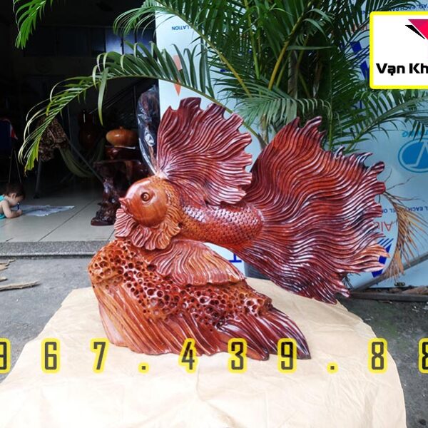 Cá Xiêm Tài Lộc