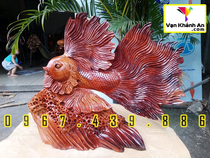 Cá Xiêm Tài Lộc