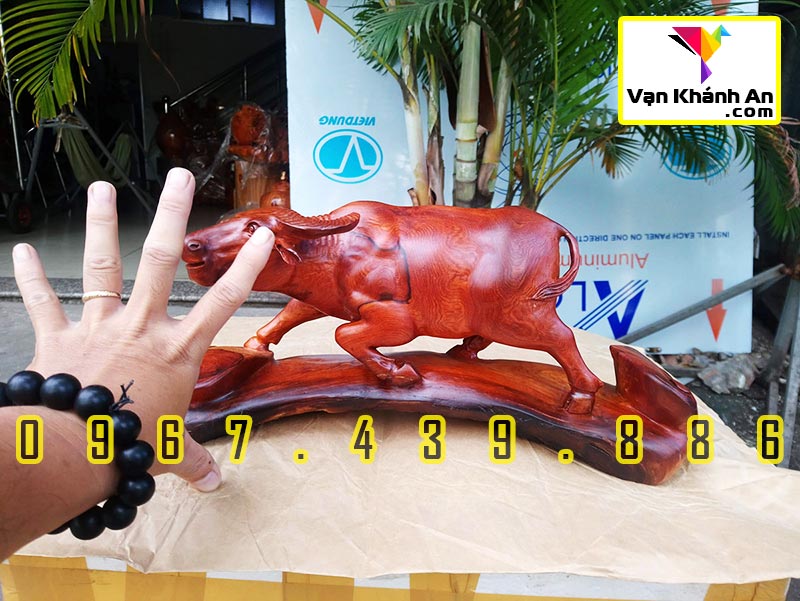 Tượng Trâu Phong Thủy