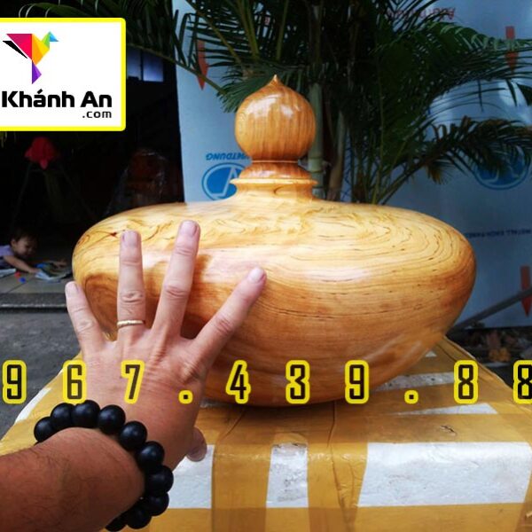 Chum Gỗ Trang Trí Phòng Khách