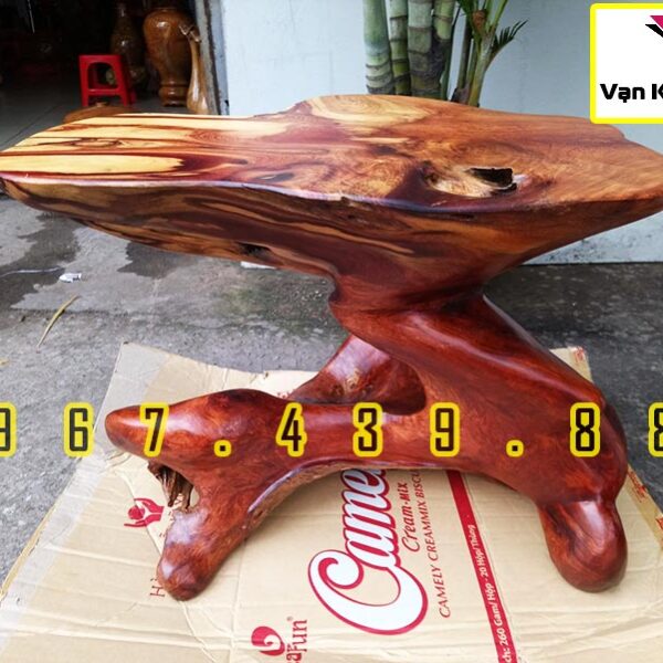 Đôn Gốc Cây